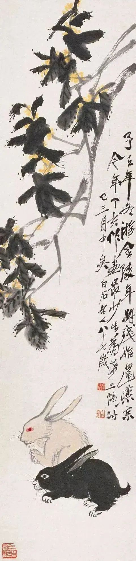 齐白石笔下富贵的牡丹,齐白石写意兔子