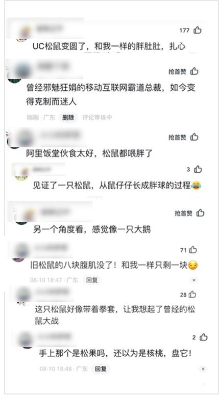 你手机里的UC还在吗？熟悉的小松鼠换了新造型