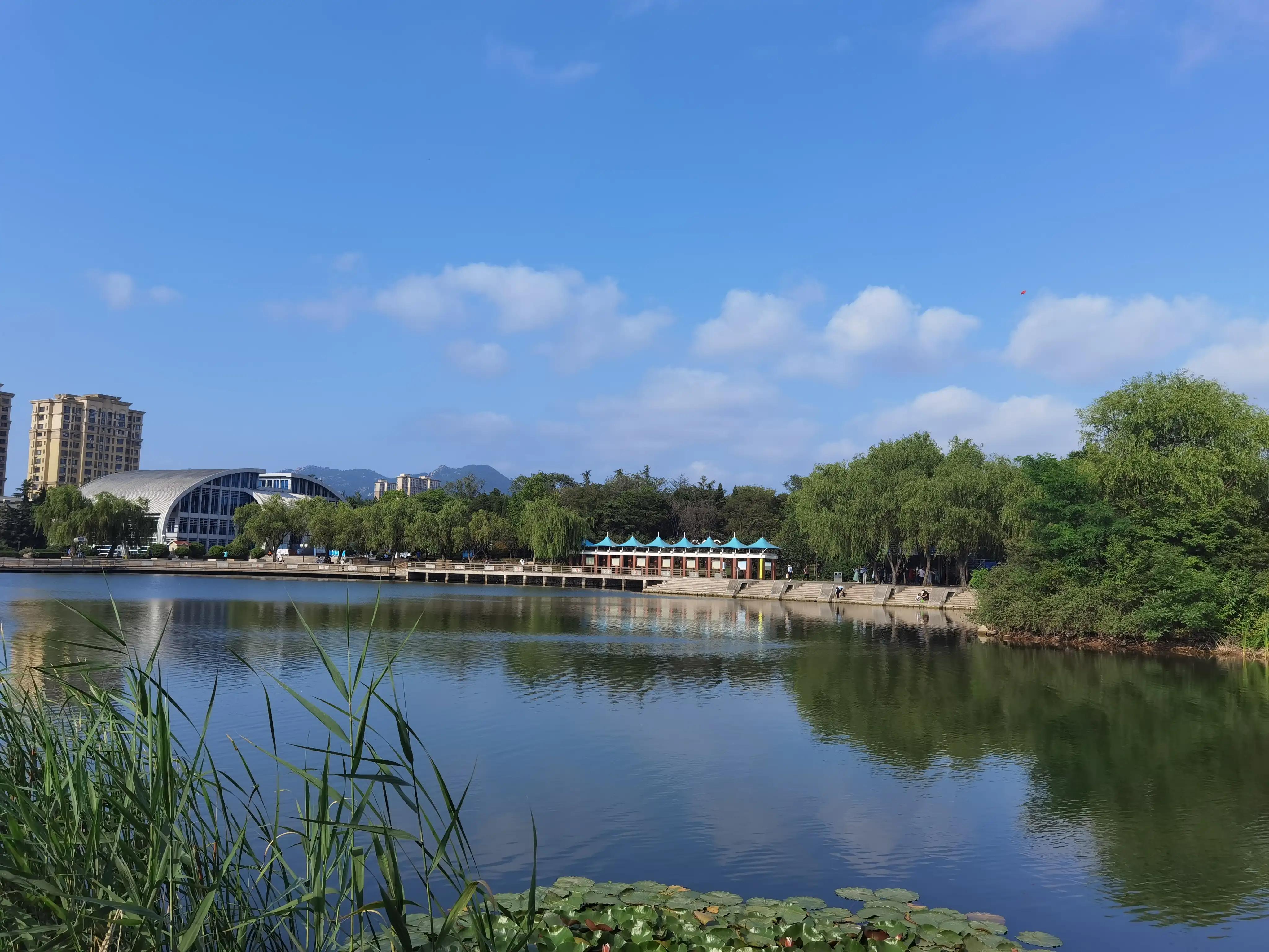 静静的欣赏钢琴曲,静静的欣赏作文