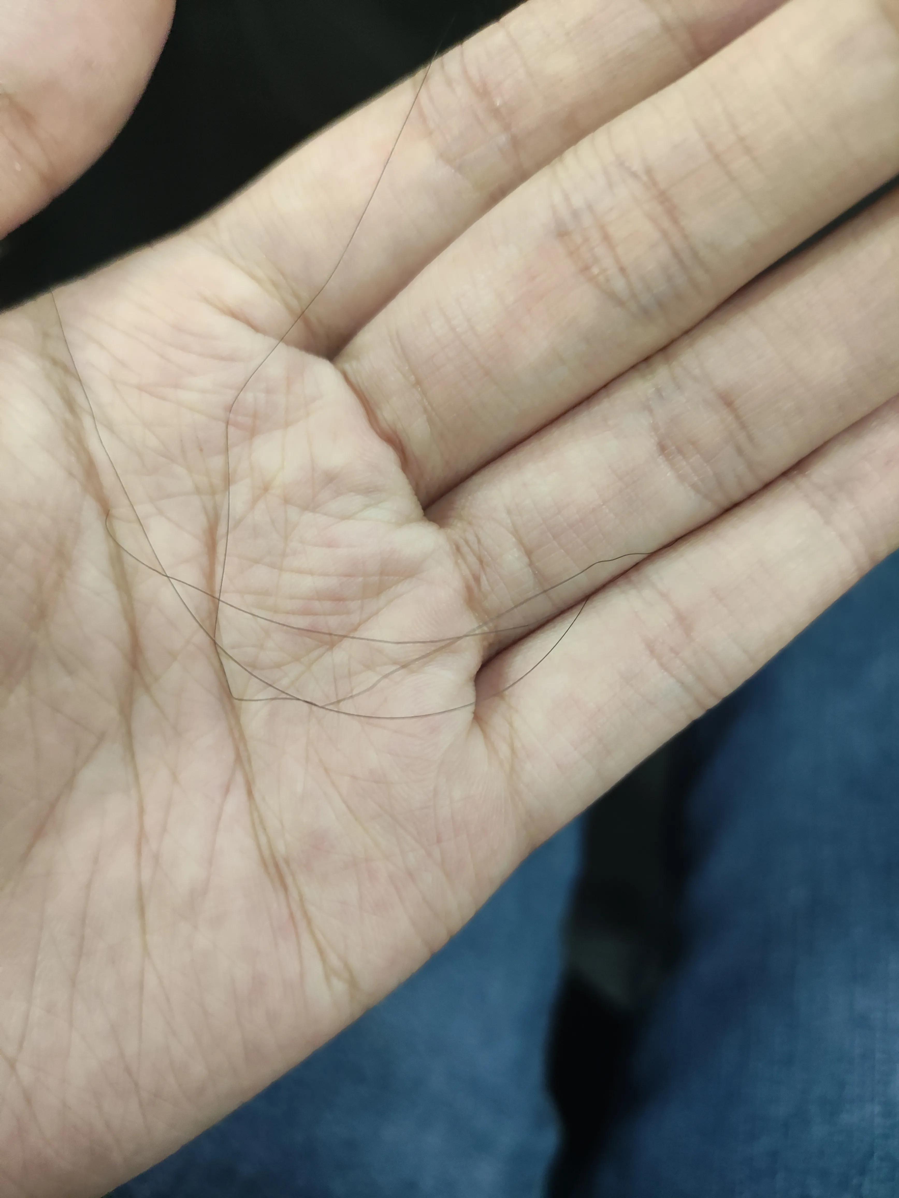 养发真上头，掉发少了，小炸毛多到收不住