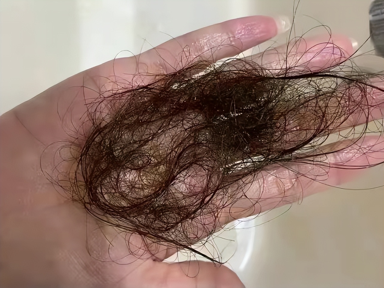 国货口碑最好的8大洗发水排名,国货十大良心洗发水知乎