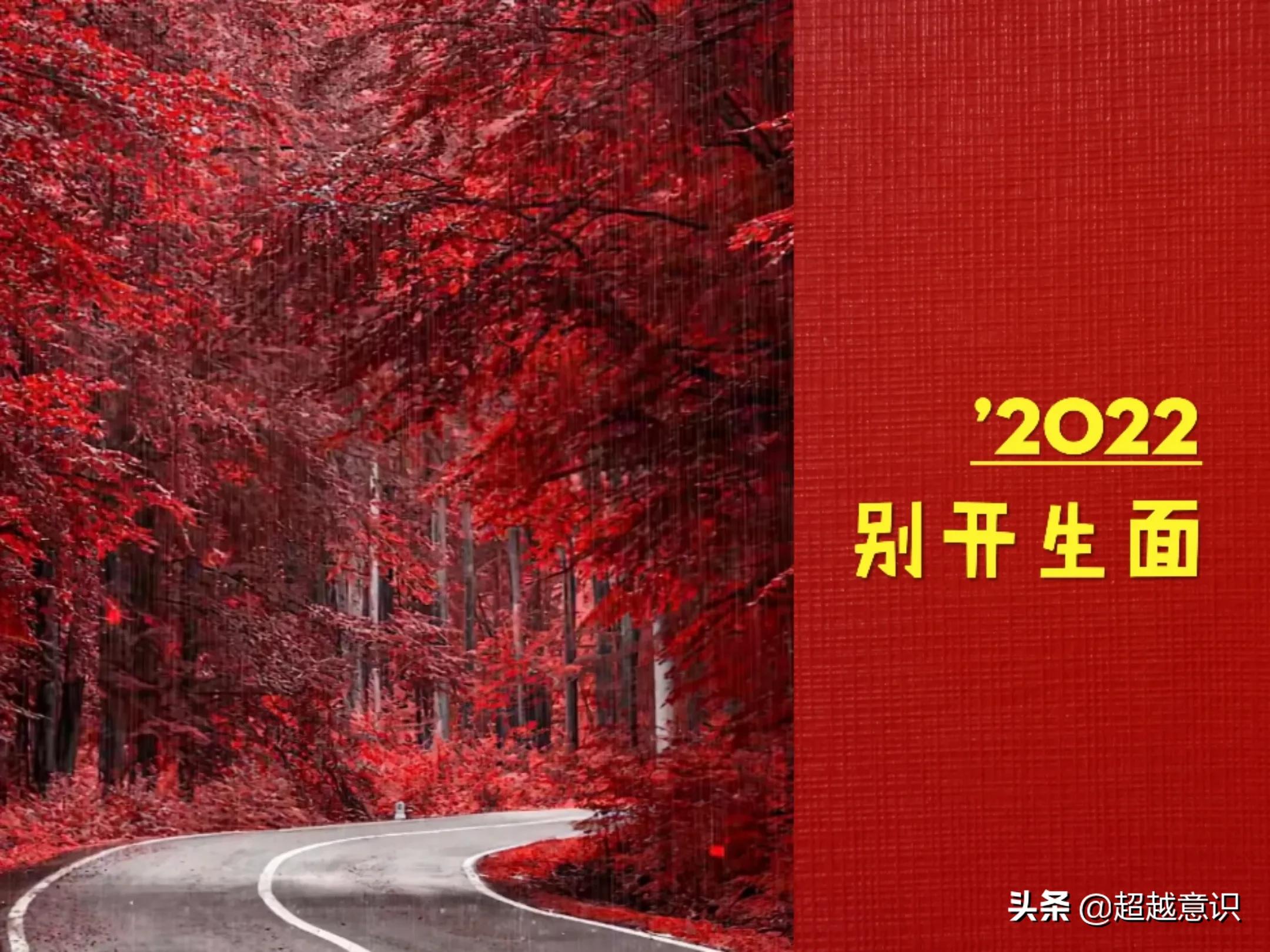 学得最好英语,学得最像泰森拳的人