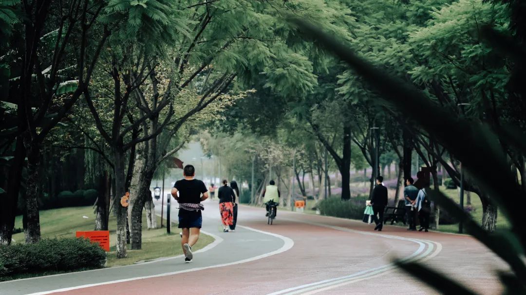 闄嗗啿杩愬姩瑙嗛,闄嗗啿楠戣