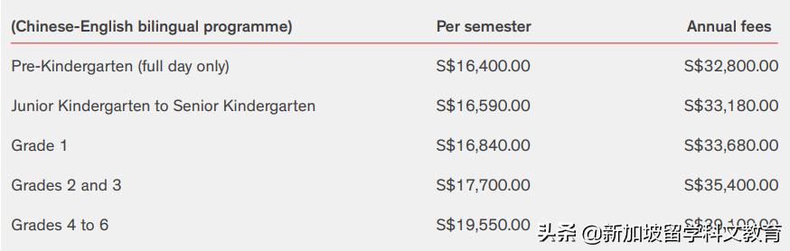 小文带你走进不一样的世界,新加坡国际学校和英国国际学校