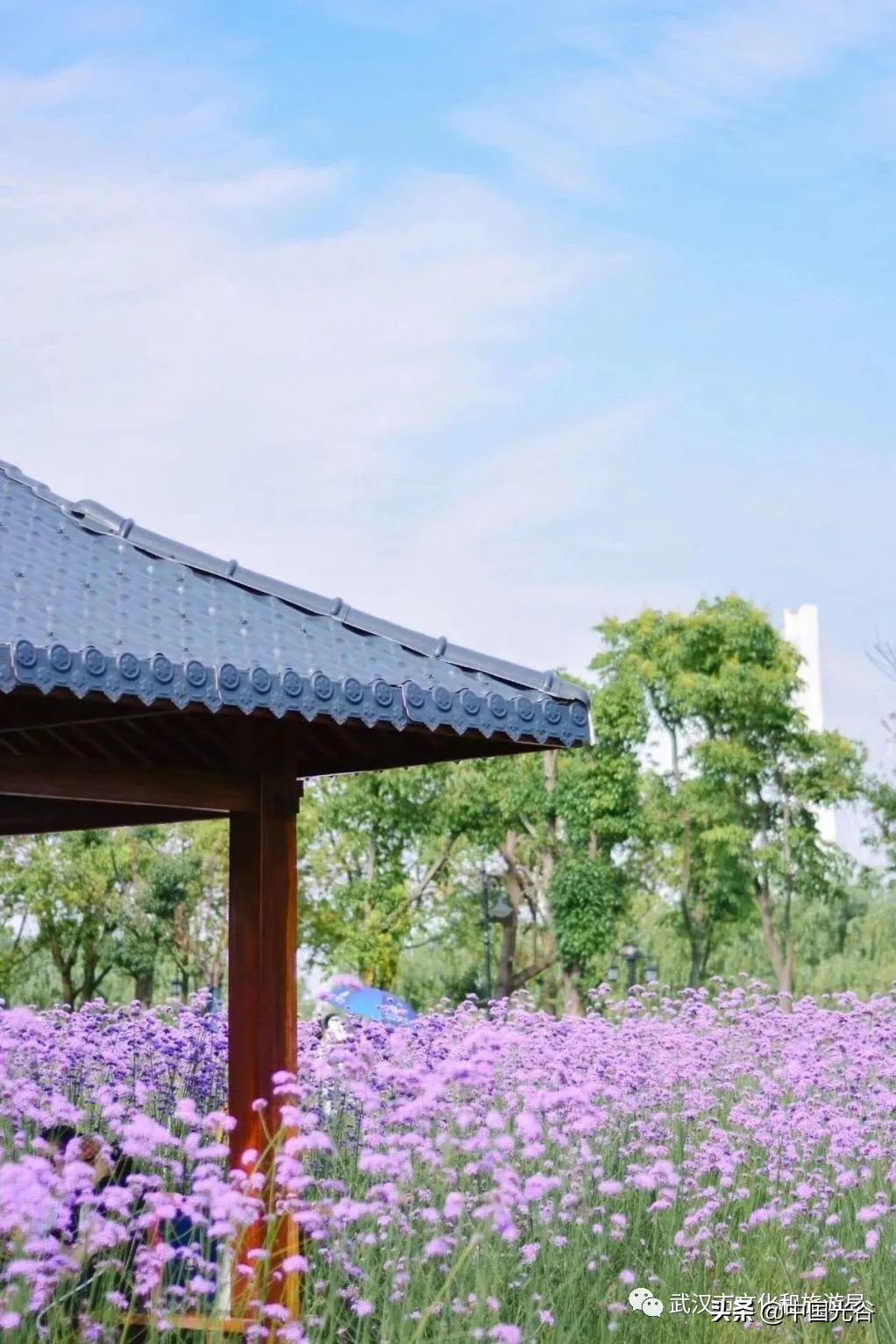 五一，光谷这些地方可以露营，还可以赏花、登山、看展……