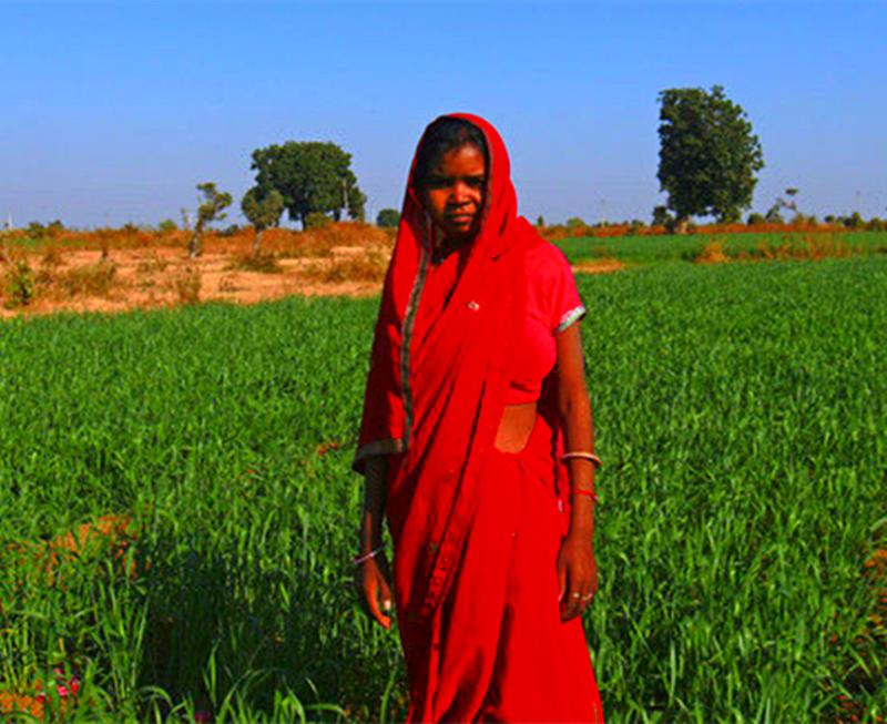 全球人口贩卖中，女人、儿童、男人这些受害者的“用途”有哪些？