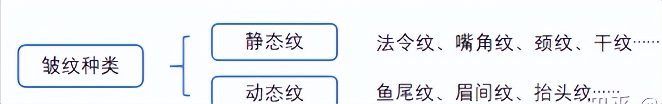 抗衰祛皱纹逆龄变美,紧致抗衰淡法令纹的项目