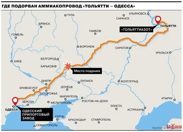 全球粮食危机最新信息需要屯粮吗,近期全球重大突发事件