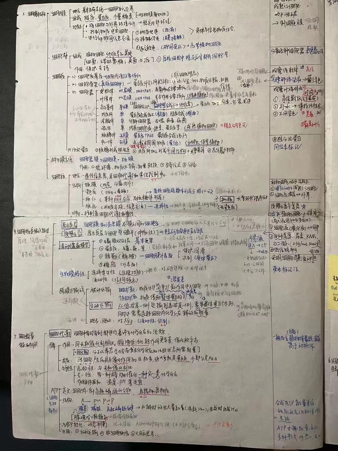文化课学霸上岸清华美院！成都二十中曹琬悦诠释规划与坚持的力量