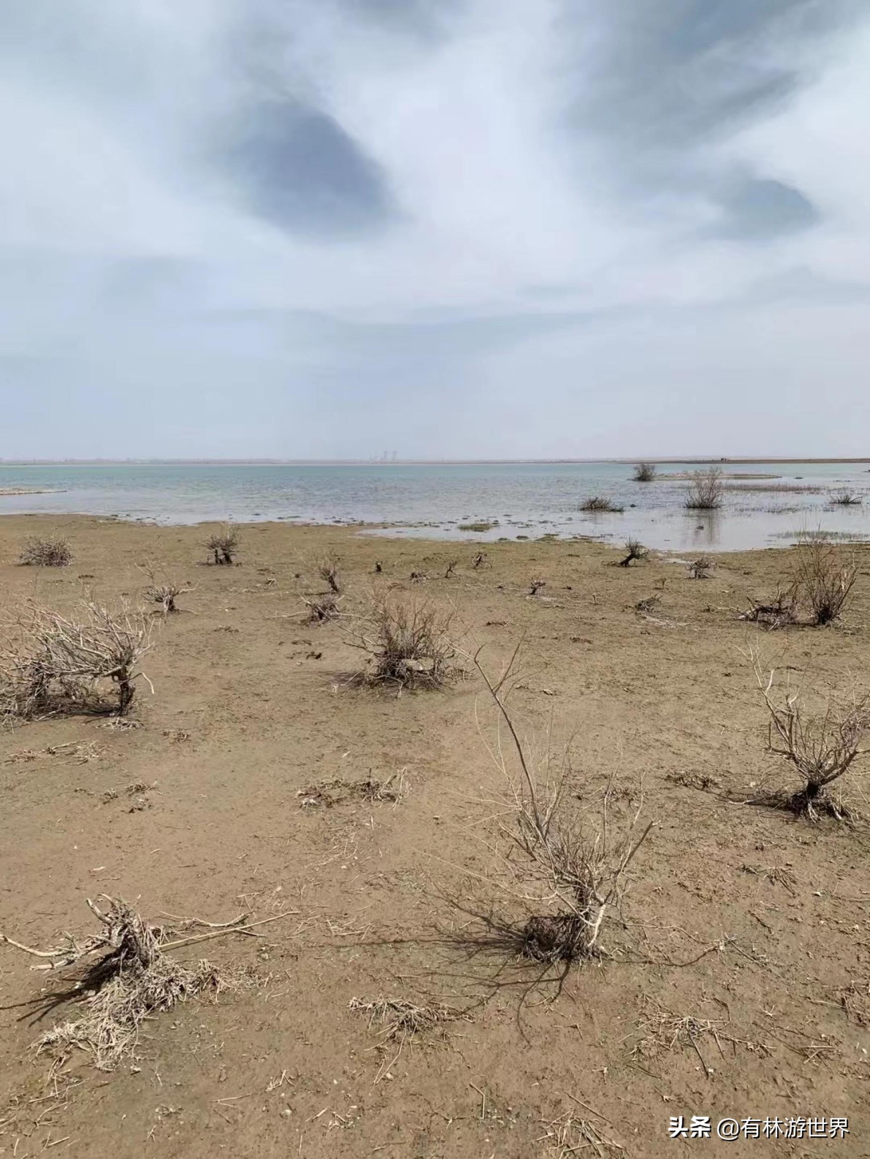 失业两年的旅游人,一个失业在家的旅游业者