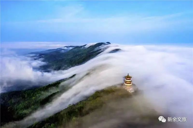 如果你要写新余，就不能只写新余