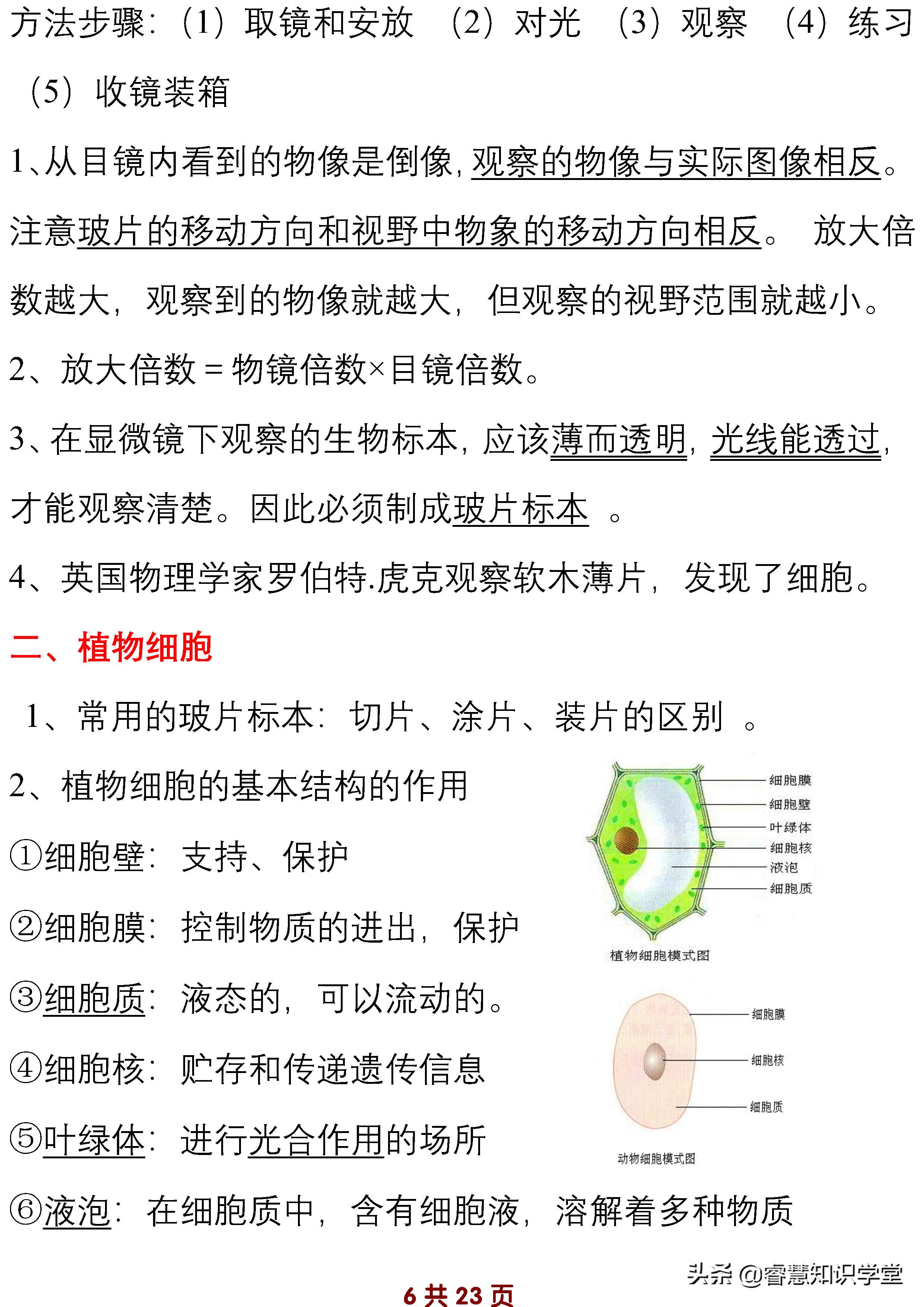 初中七年级生物知识点归纳总结,七年级上下册生物必考知识点