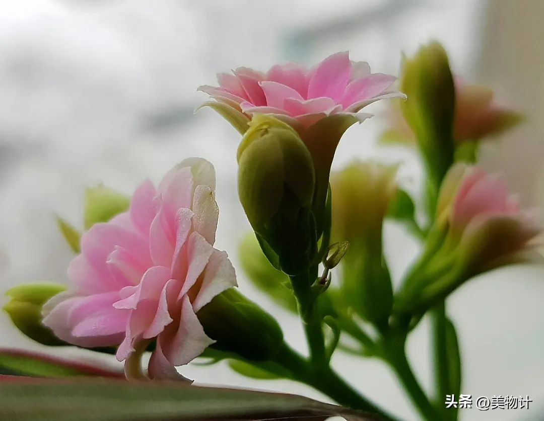 真诚厚道的人值得深交,深交看人品相处靠真诚