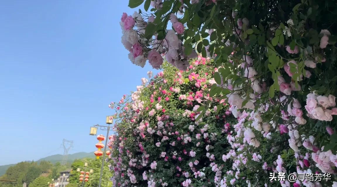 驻足在青木川古镇,那座校门似笔架的辅仁中学