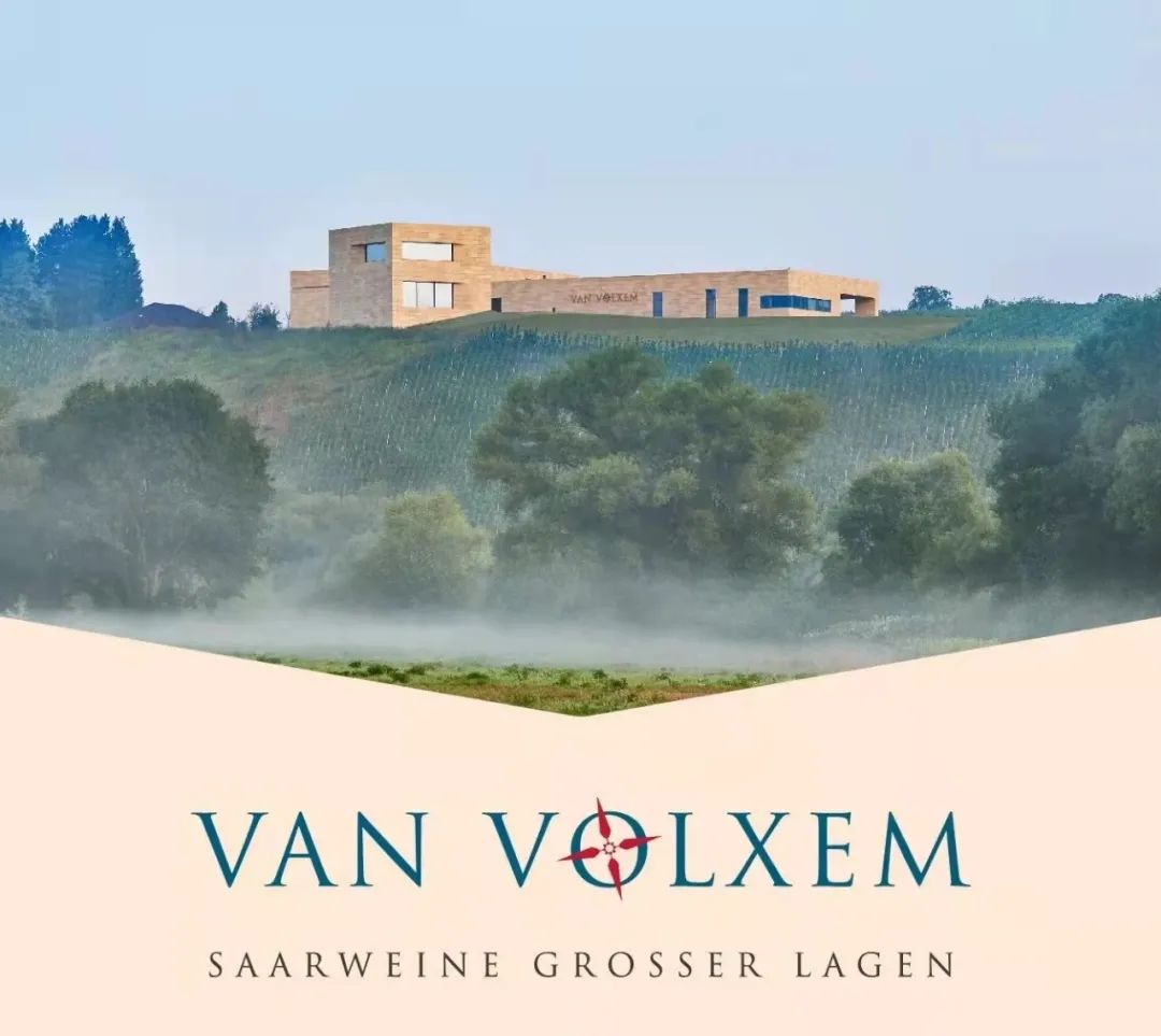 雷司令生日,雷司令2017