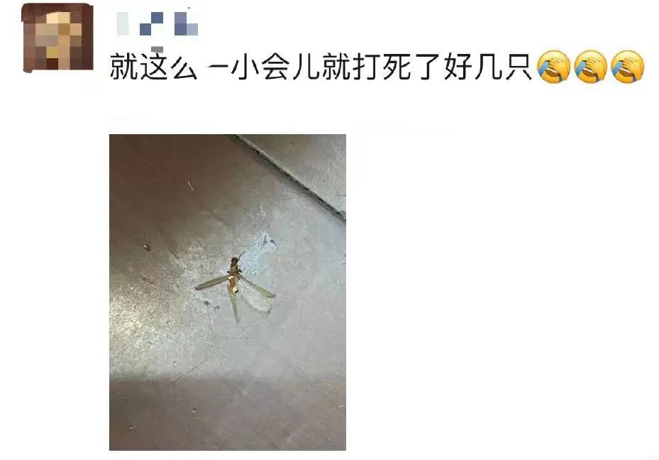 多地公安提醒短信,多地提醒