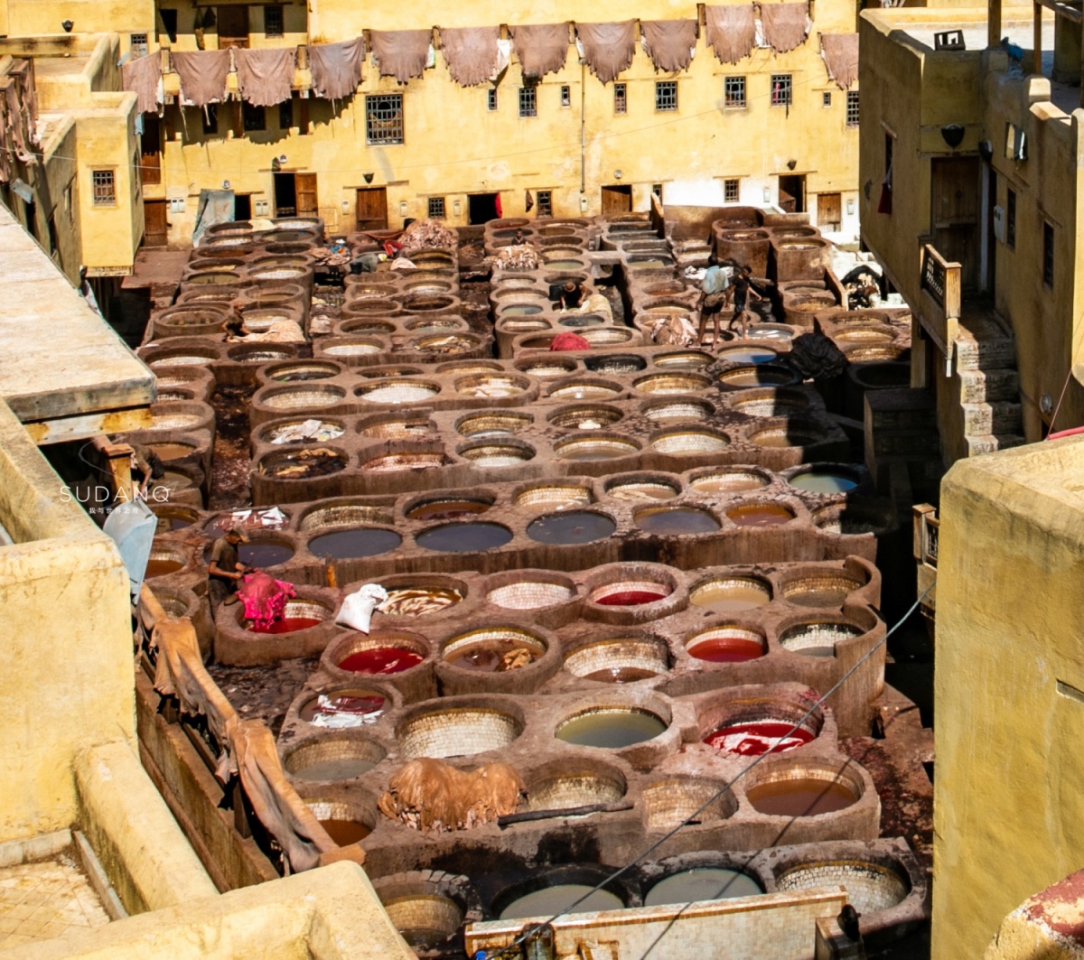 摩洛哥黑马小组第一,摩洛哥黑马闯入四强