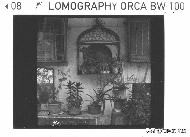 110胶卷/相机保姆级教程/相机选择/胶卷选择/冲扫店铺/实拍样片