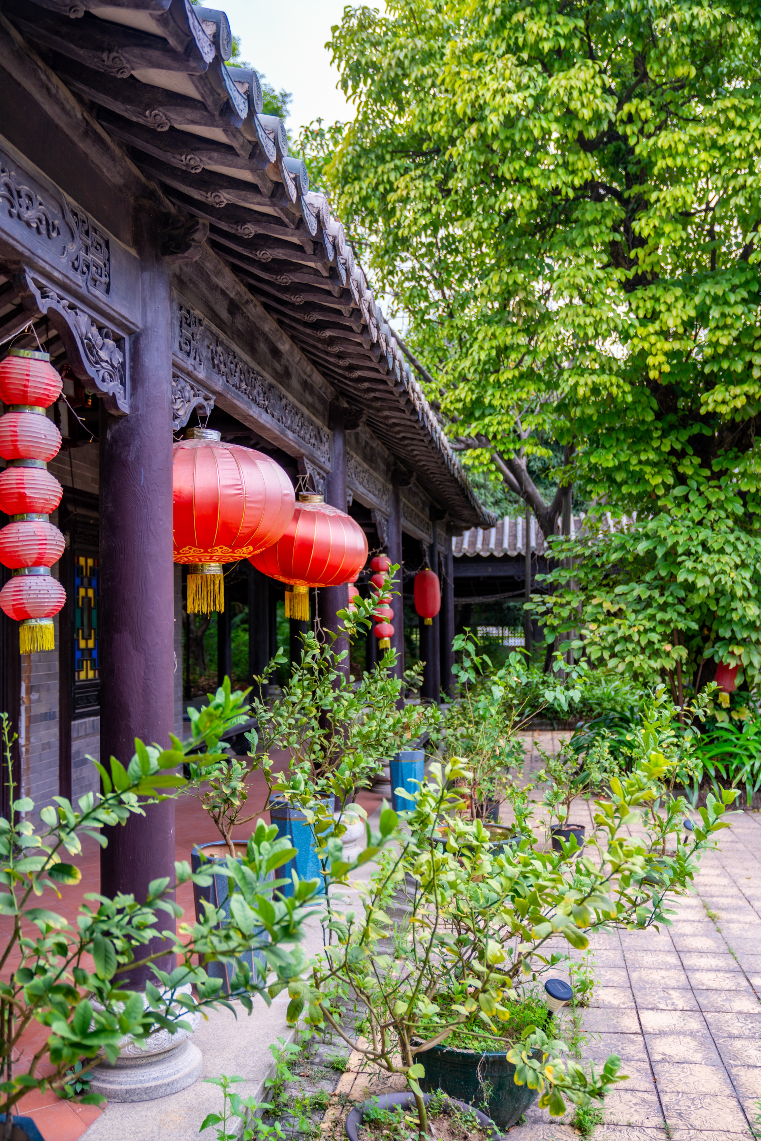 粤晖园国庆游,粤晖园自驾游攻略