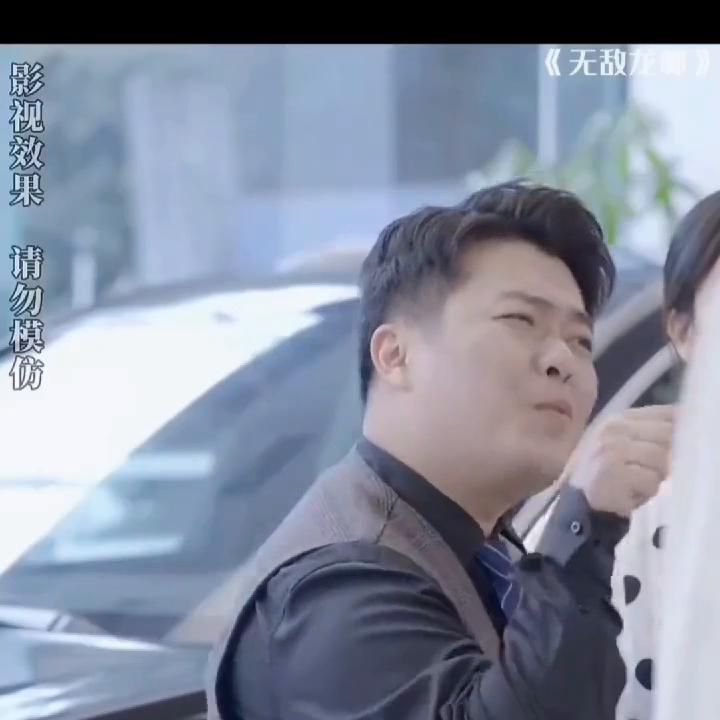 无敌龙帅电视剧免费看合集,无敌龙帅101集