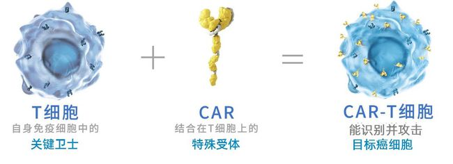 肿瘤与免疫的故事,肿瘤免疫治疗十大案例