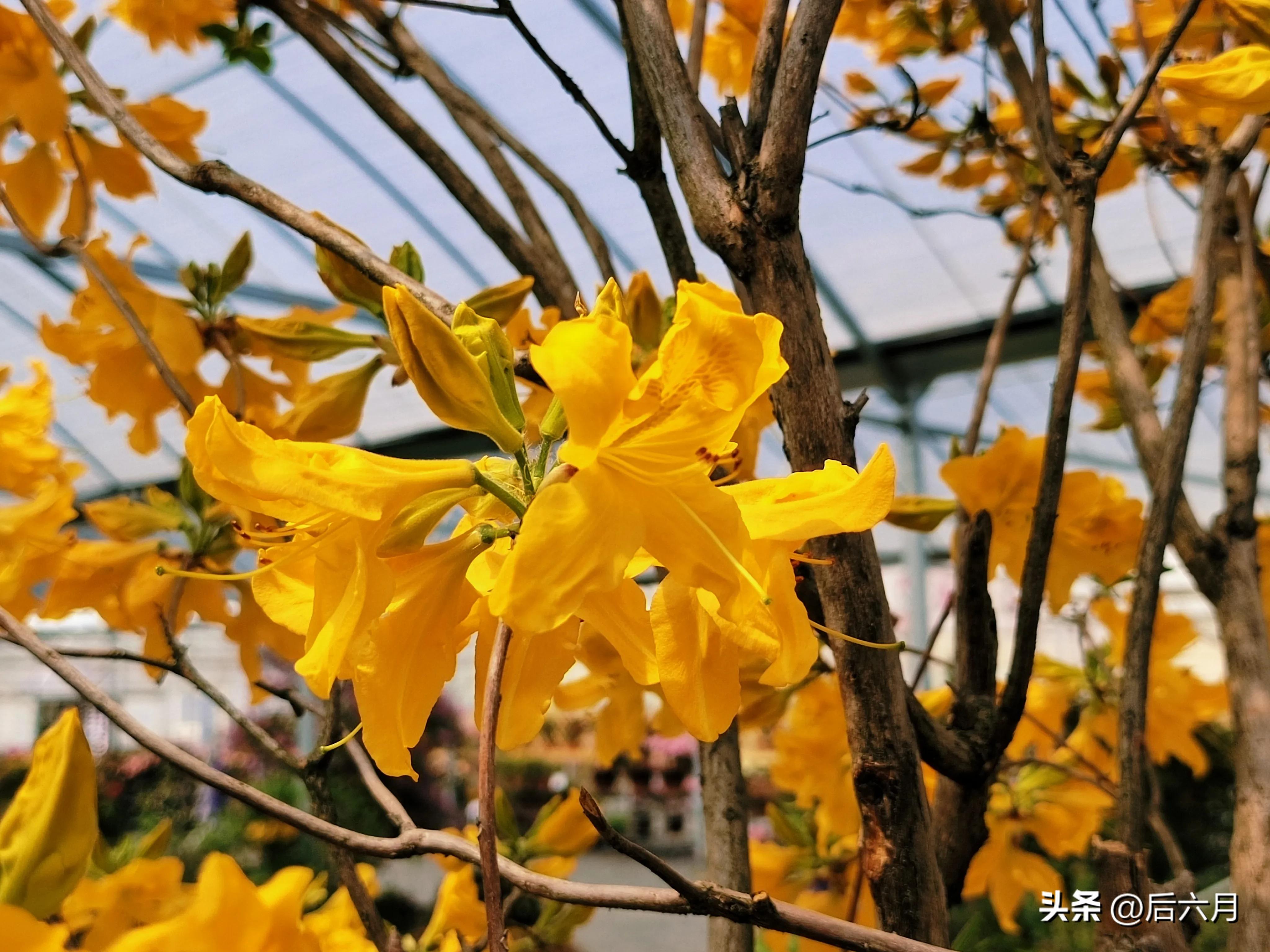 途游西海岸l无比方花园，杨家山里新添网红打卡地