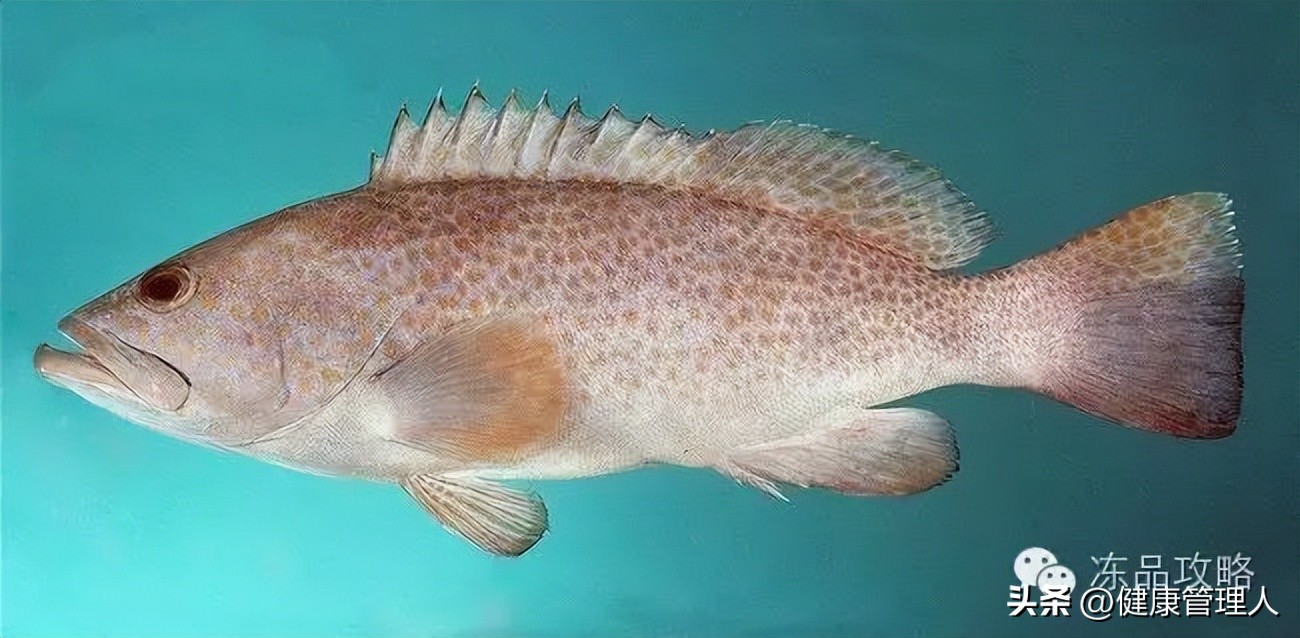 美容护肤食疗方案,美容护肤养生介绍