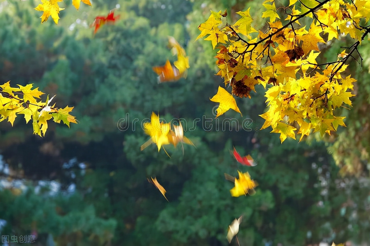 清都的原创诗词，4年作品合集，用文字记录生活