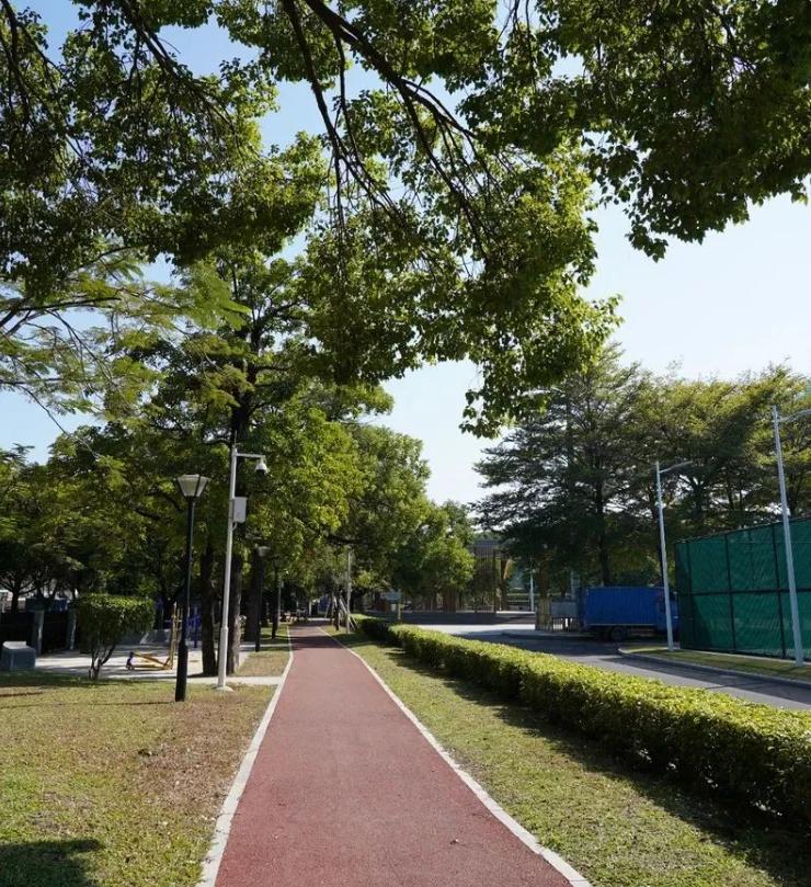 冬日露营围炉煮茶的闲适和惬意,记一次秋天的围炉煮茶露营