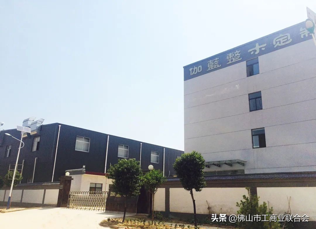 佛山商道|心海伽蓝张爱民：“增长能治百病”！一步一个脚印向全卫定制进发