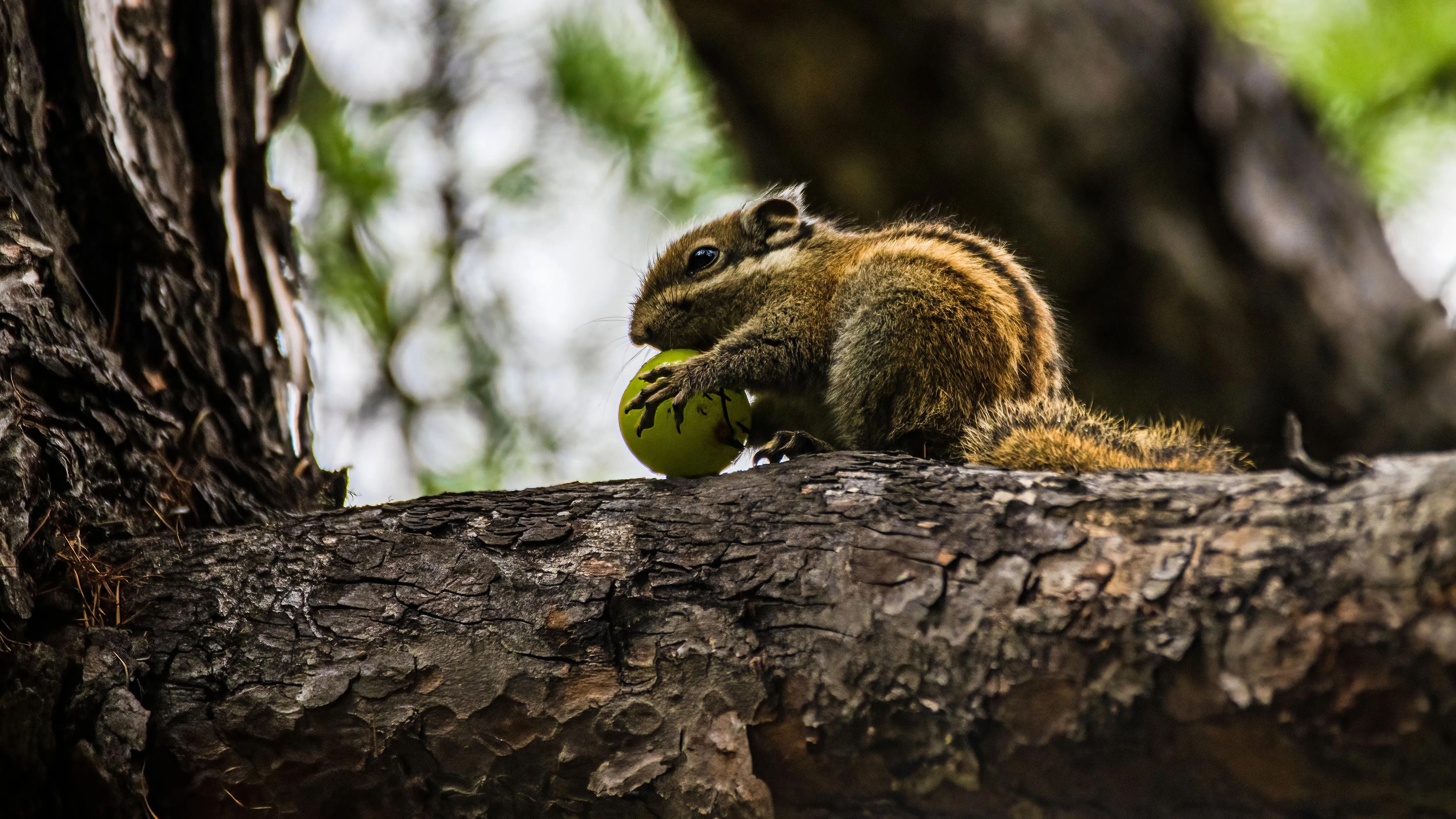 甘孜州最美风景在路上,金秋的甘孜州