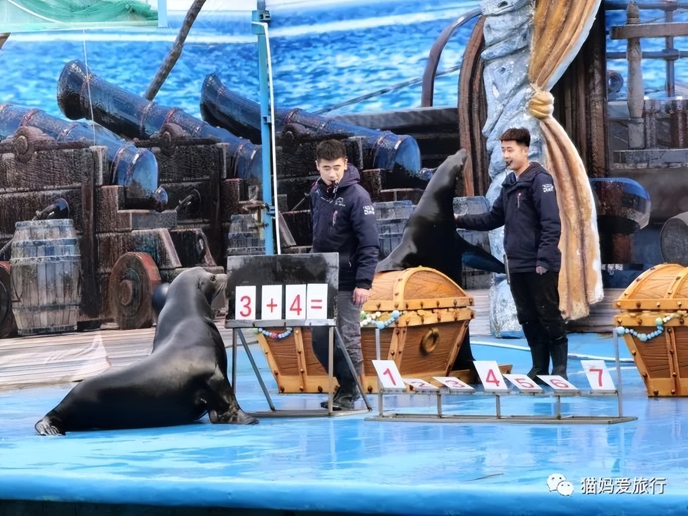 5天“趣”玩青岛，我的私藏遛娃路线