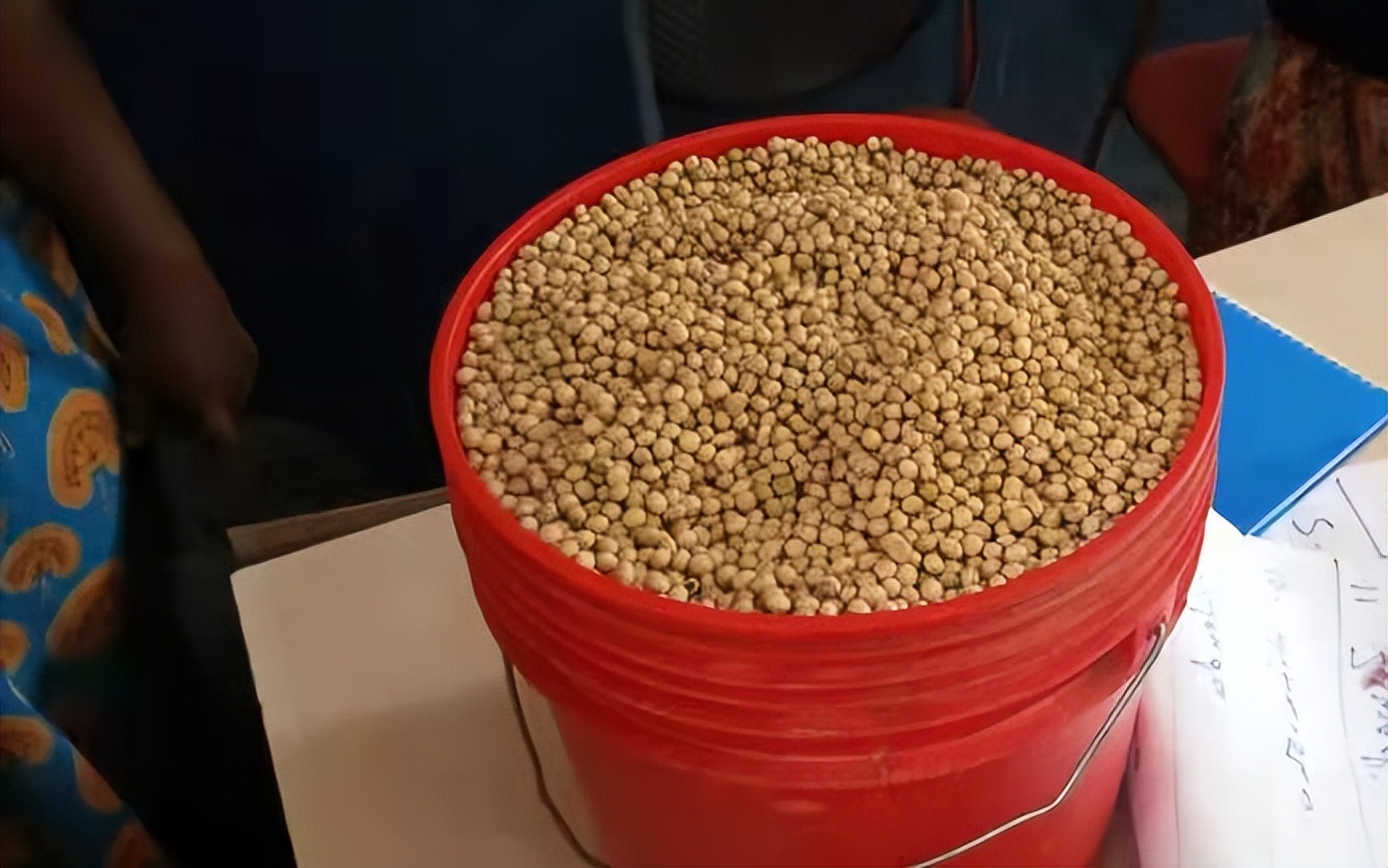 从种黄豆到磨豆浆中国种植技术走进非洲村庄