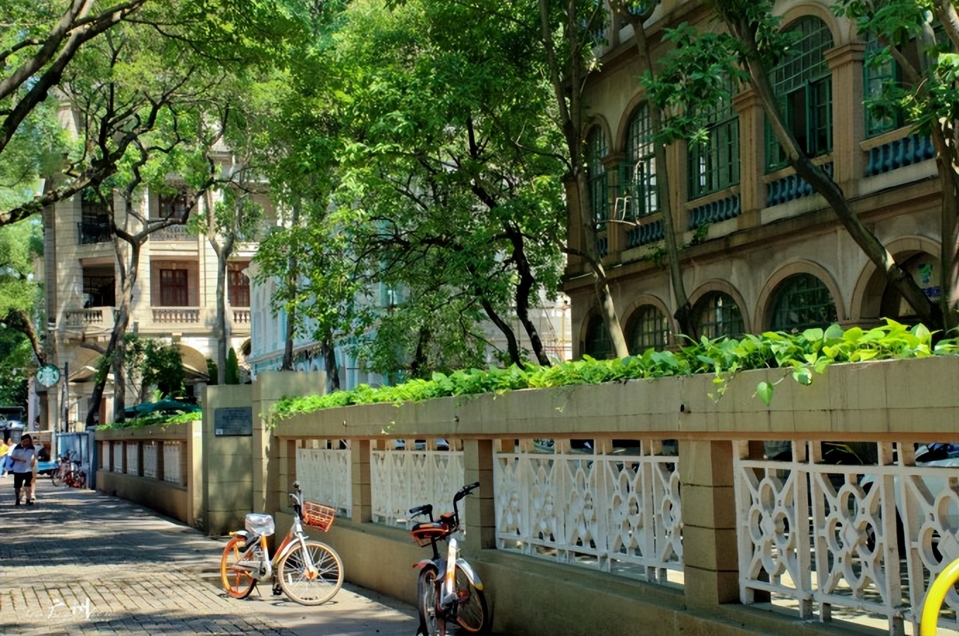 广州游记最值得逛吃的3条路线,广州周边寻味之旅