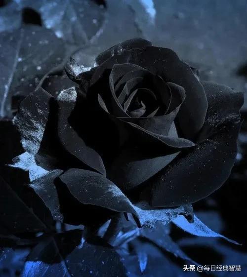 山西最新重大车祸事故,山西严重车祸致4人受伤现场惨烈