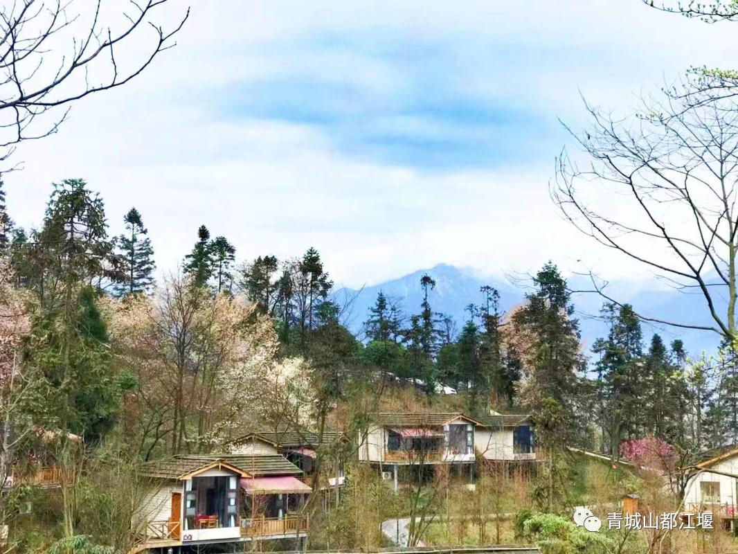 1h直达超好耍露营地！这五处秘密基地出片率100%，带你在星空下篝火旁，拥抱元气秋日大自然~