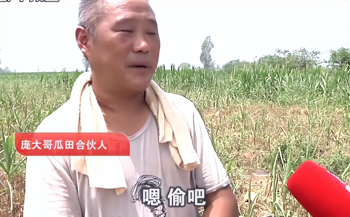 小偷偷瓜瓜农倒赔300警察后续,小偷偷瓜受伤瓜农赔300元是真的吗