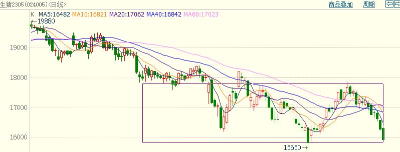 生猪产业发展调研报告,广西2024生猪产业调研