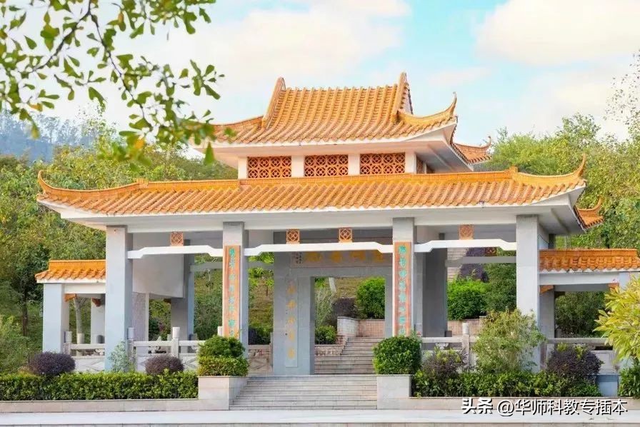 318分可以读什么学校,318分能上哪个学校广西