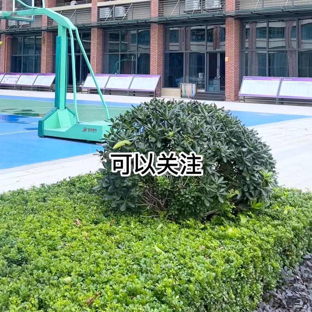 东莞丰泰外国语学校,东莞市丰泰外国语学校高中升学率