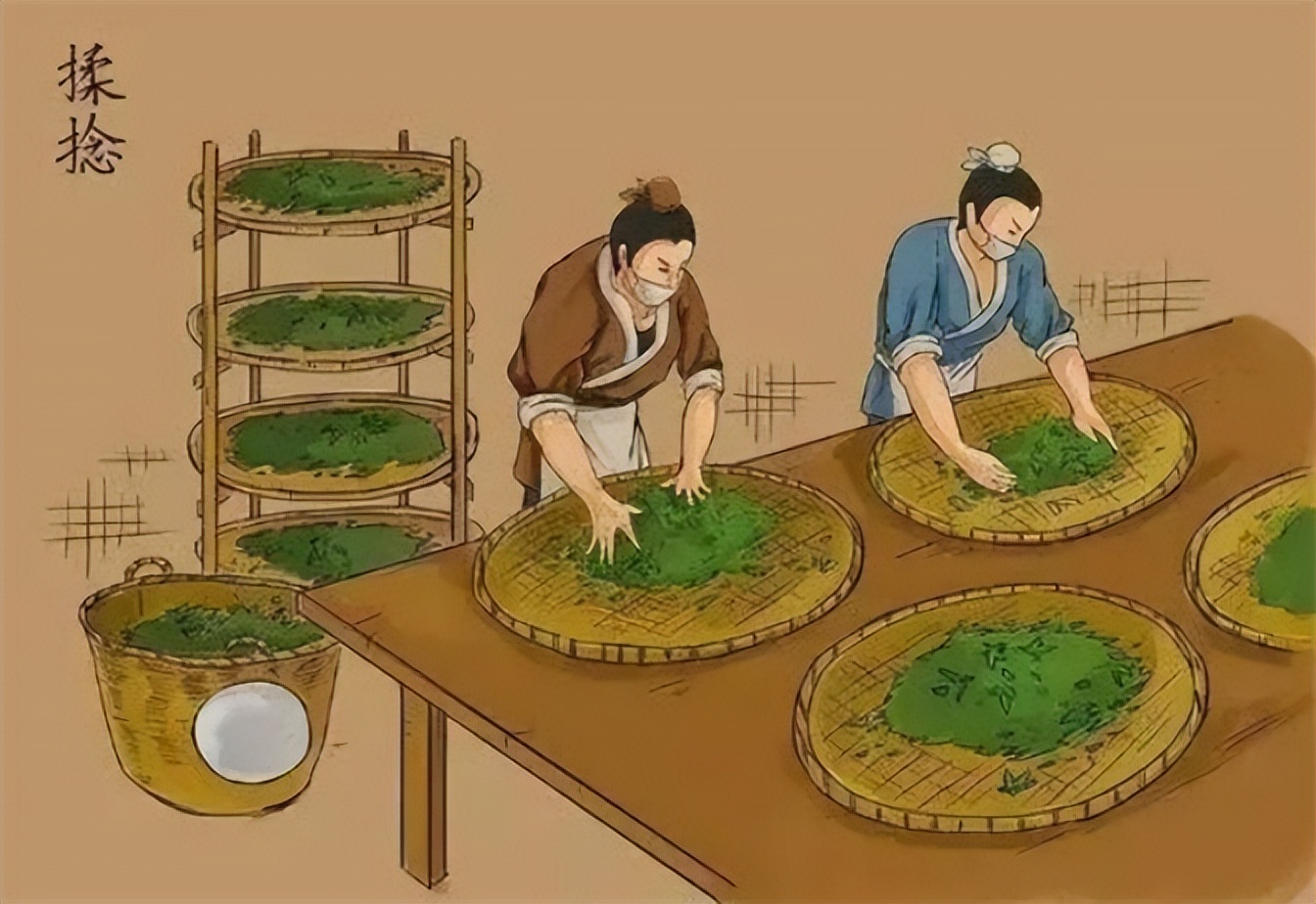 痛心的技术泄密：英国*子骗**从中国偷走两种树苗，中国损失百亿纹银