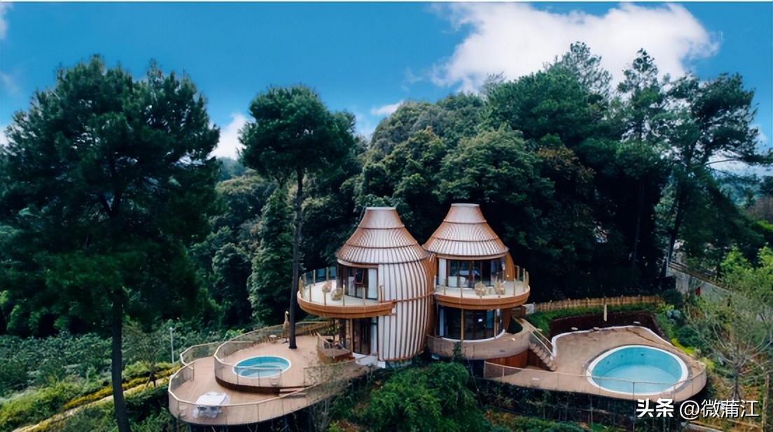 迎新春兔年促消费,迎新春促消费浓浓年味享不停