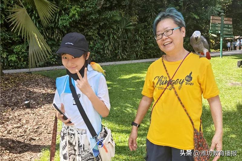 潍坊中新双语好进吗,潍坊中新双语校园