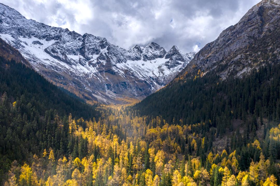 宸濊タ娴极鐨勫ぉ鑺辨澘,鏃嬭浆鏈ㄩ┈宸濊タ缇庢櫙