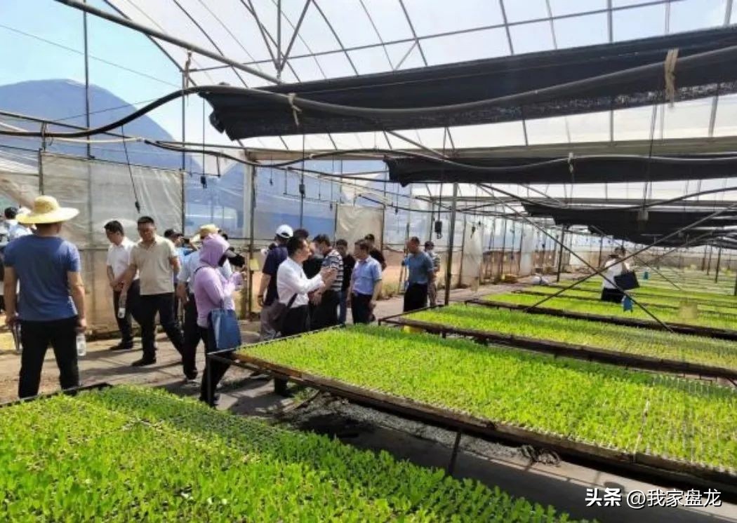 农村两权抵押指哪两权,农村土地抵押贷款怎么弄