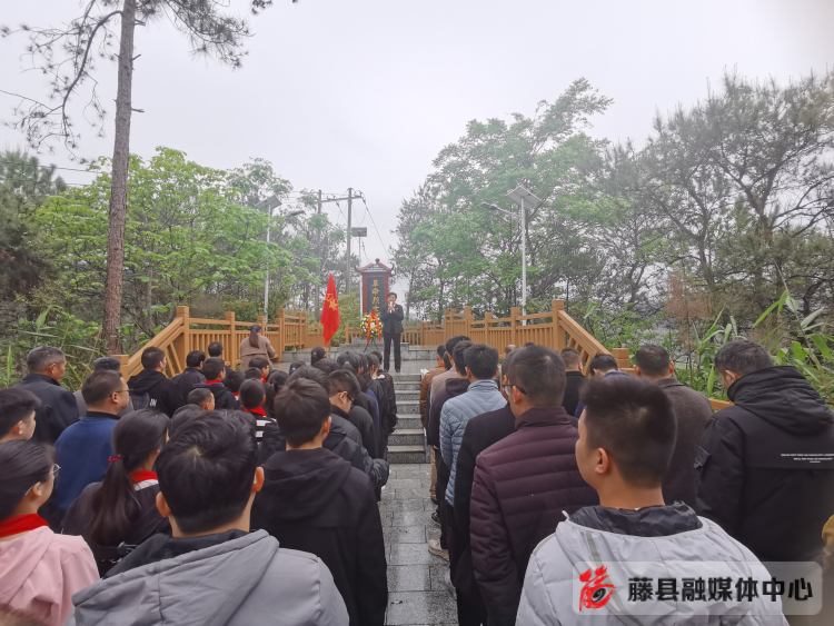 全县清明节纪念烈士陵园活动方案,清明节祭扫烈士墓园美篇