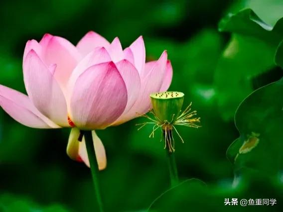 五月九毒日的禁忌,五月九毒日禁忌有科学道理吗