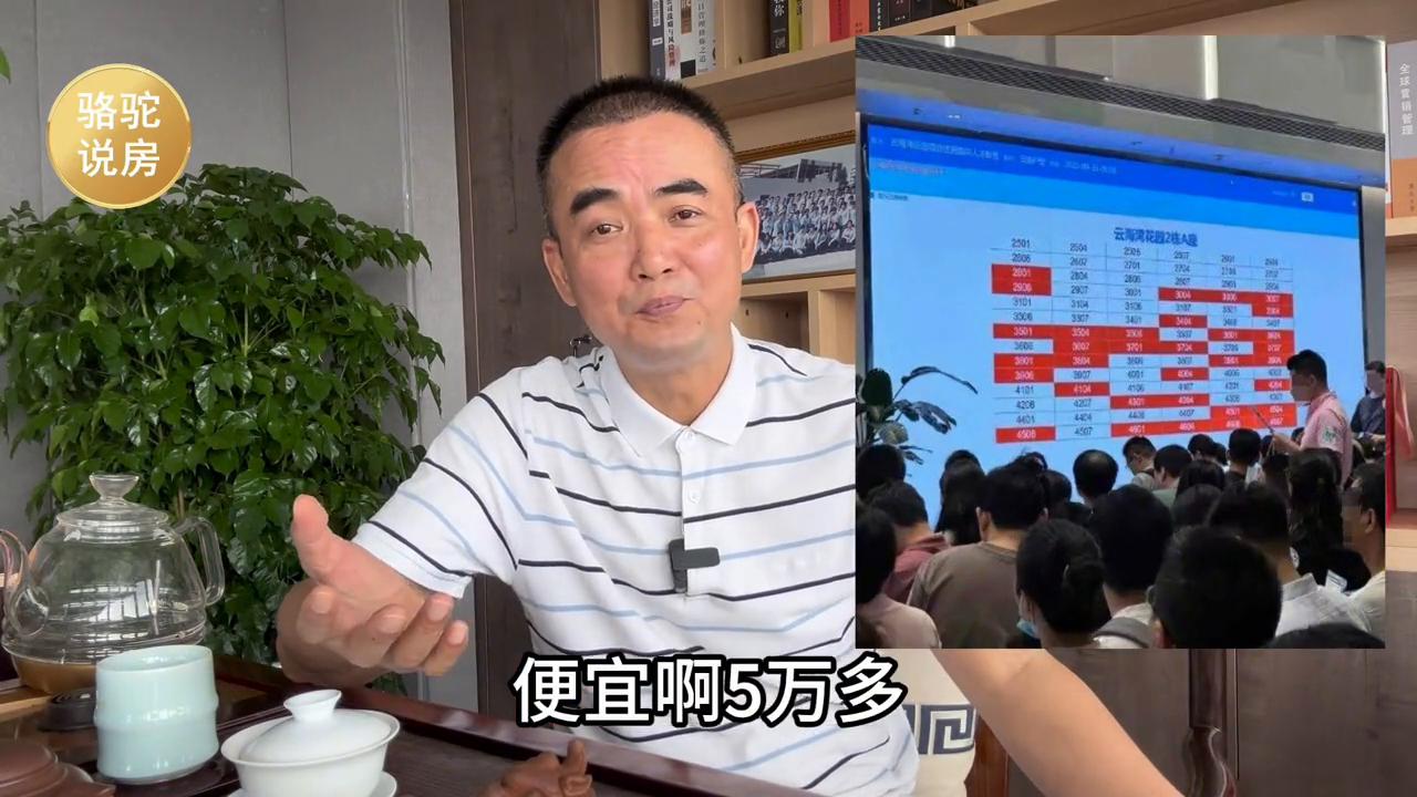 深业云海湾未来升值空间,深业云海湾拿地价格