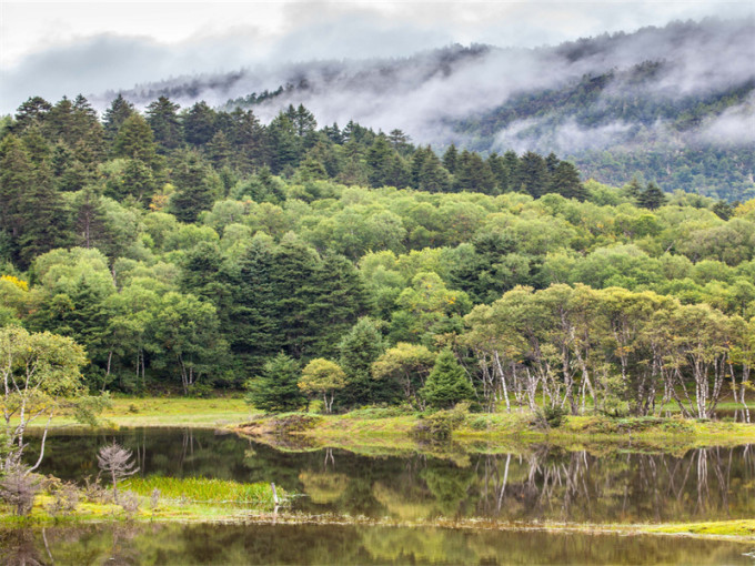 网上报团云南旅游避坑,云南旅游避坑景点有哪些地方