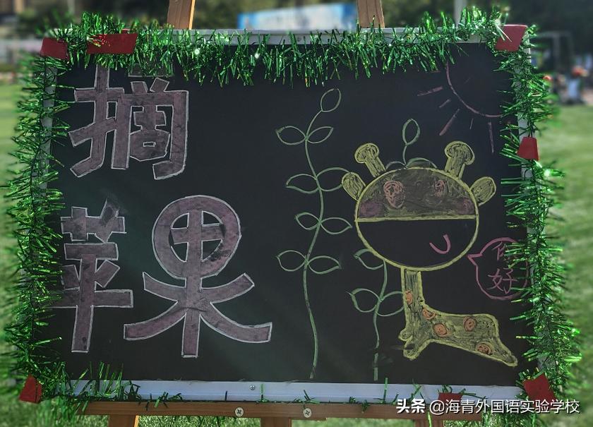 鏁板绱犲吇澶ц禌闈掑矝,瓒ｅ懗鏁板鐭ヨ瘑绔炶禌娲诲姩